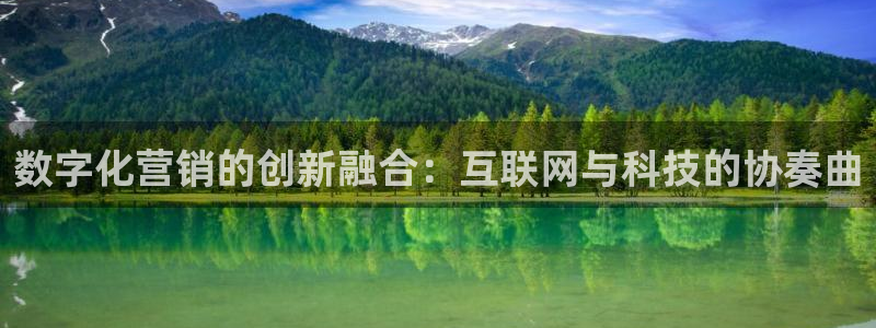 金年会手机版官方网站