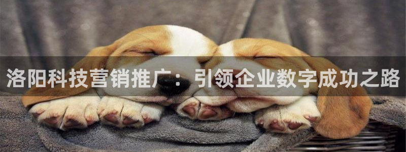 金年会网站事件后果