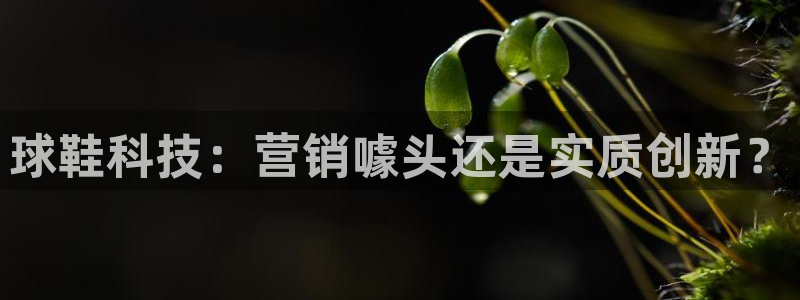 金年会体育平台注册