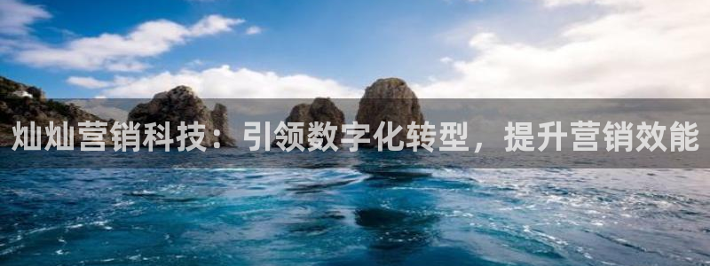 金年会网站多少