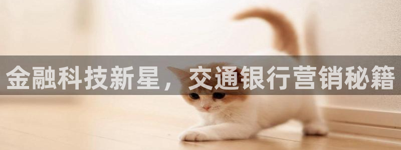 jinnianhui金年会