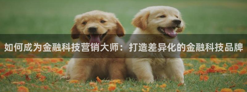金年会体育平台是真的吗
