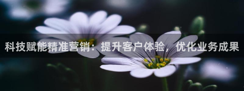金年会网站事件后果