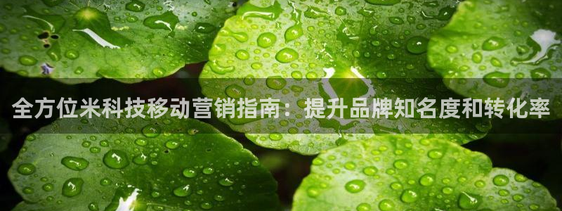 金年会官方在线入口网址大全