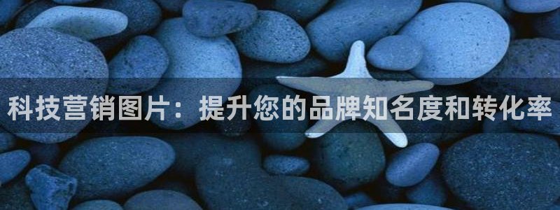 金年会pg麻将胡了几张牌