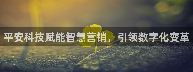 金年会提现不了