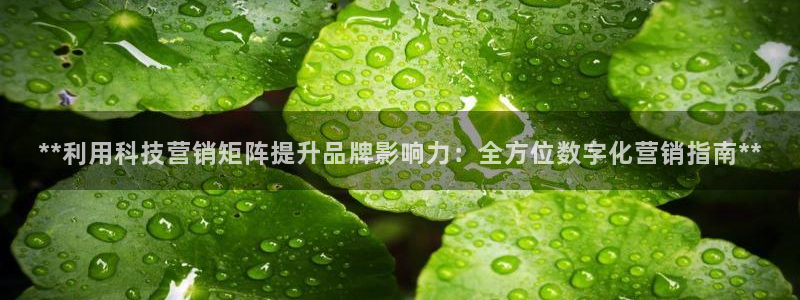 金年会官网登入