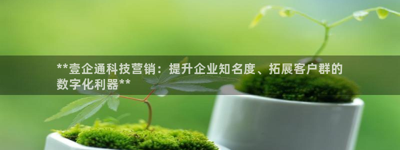 金年会app官方网站