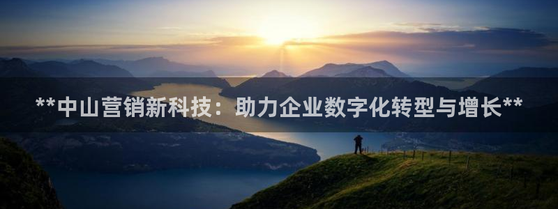 金年会官方网址查询