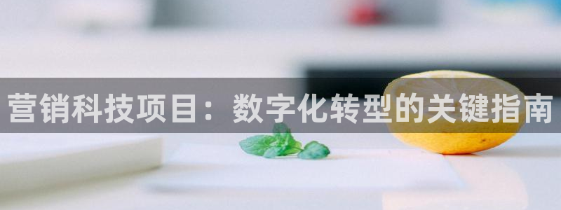 金年会体育买球
