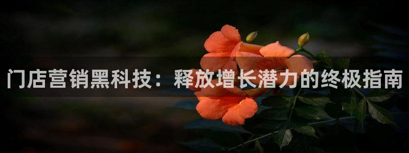 金年会下载哪个买球赛