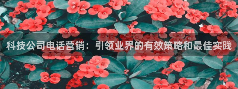 金年会体育app最新官网