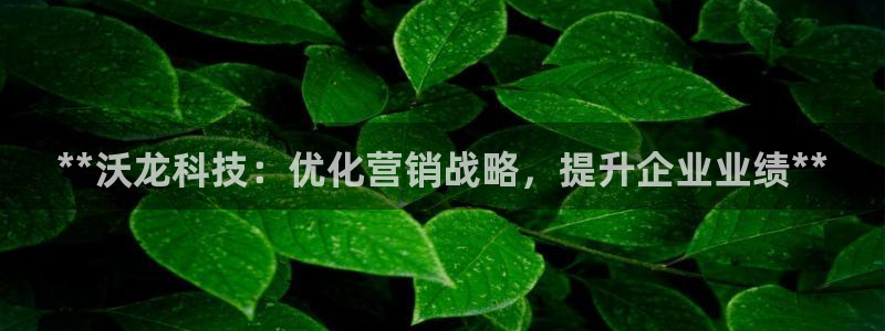 金年会信誉至上