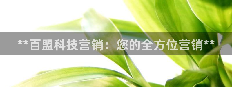 金年会体育手机app下载官网最新版