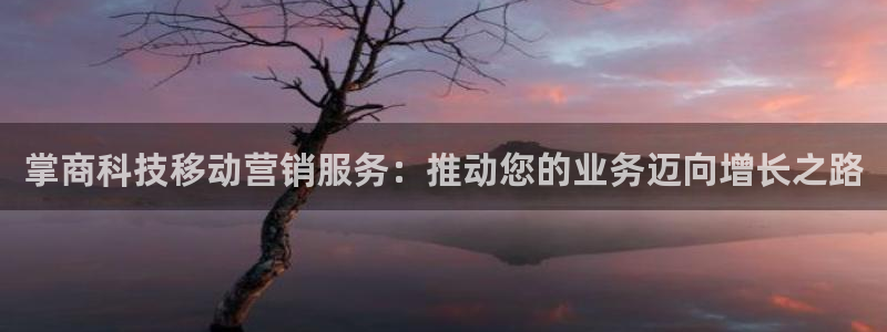 金年会体育app平台怎么样可靠吗