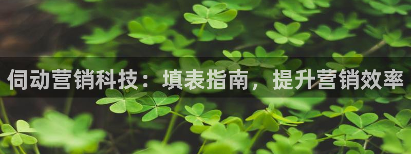 金年会app官方网站入口在哪