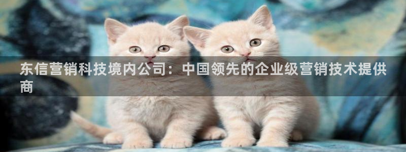 金年会下载地址