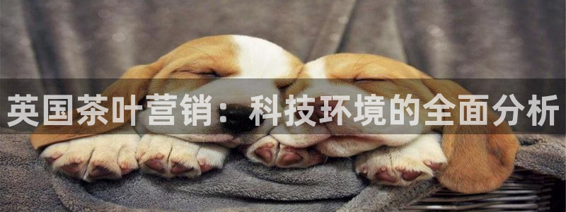 jinnianhui金年会