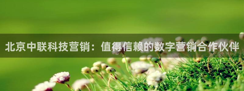金年会官方app下载安装