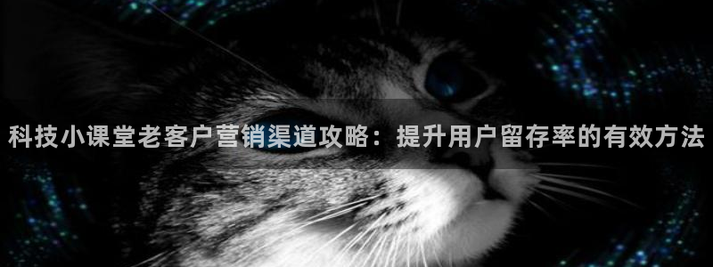 金年会体育网站