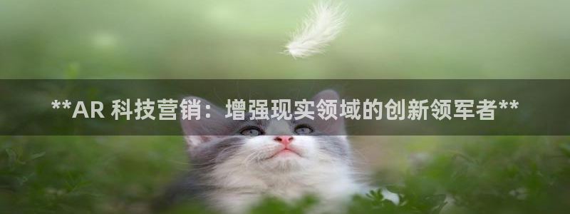 金年会电子官网下载