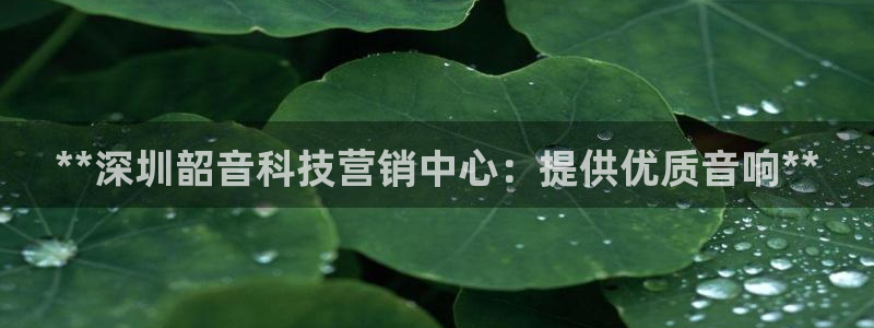 金年会下载链接