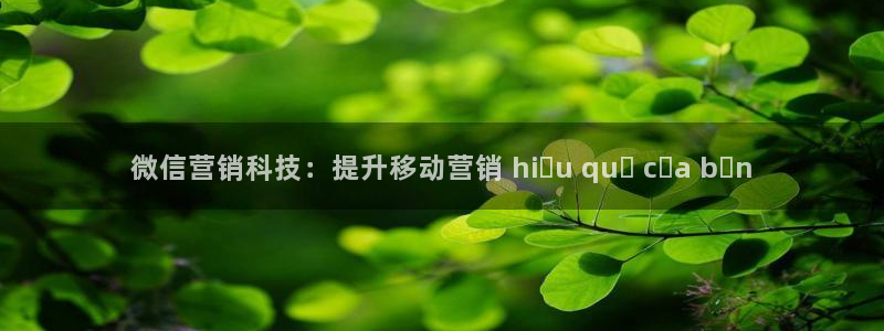 金年会荣誉至上