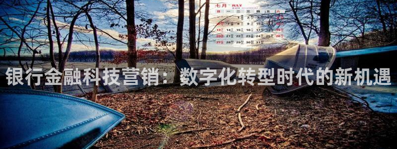 金年会提现不了