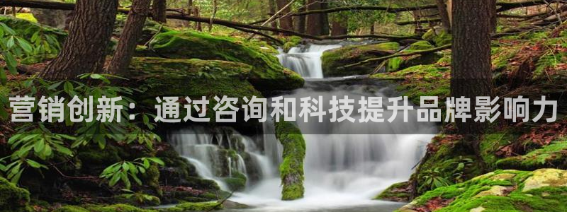 金年会网站洗黑钱