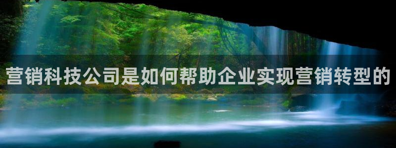 金年会体育平台是真的吗