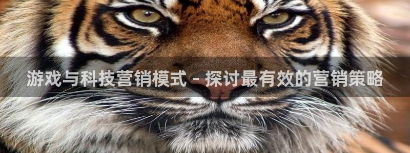 金年会官方入口2023