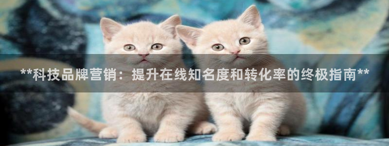 金年会金字招牌信誉至上365