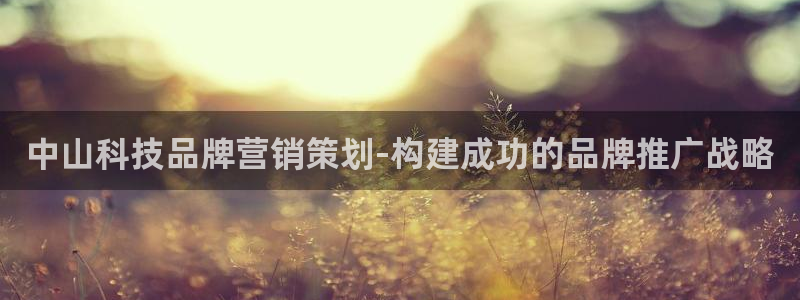 金年会官方在线入口网址大全