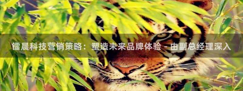 金年会官方网