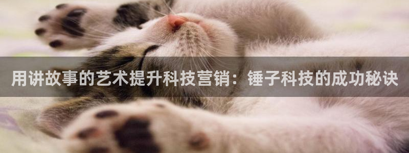 金年会vip888