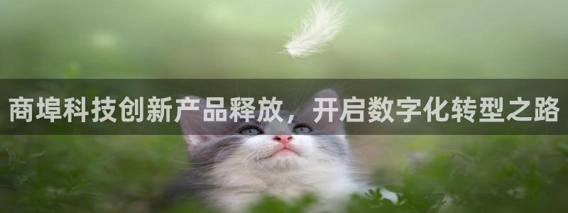 金年会手机网页版