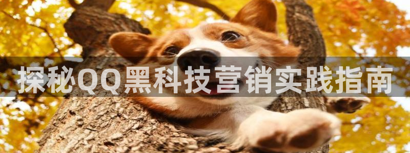 金年会金字招牌诚信至上