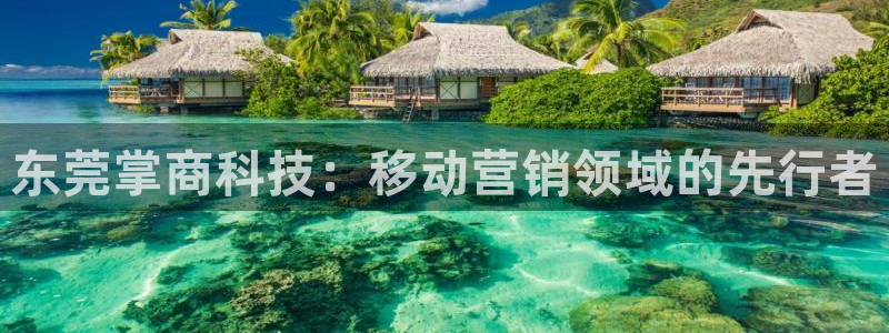 金年会官方入口2023