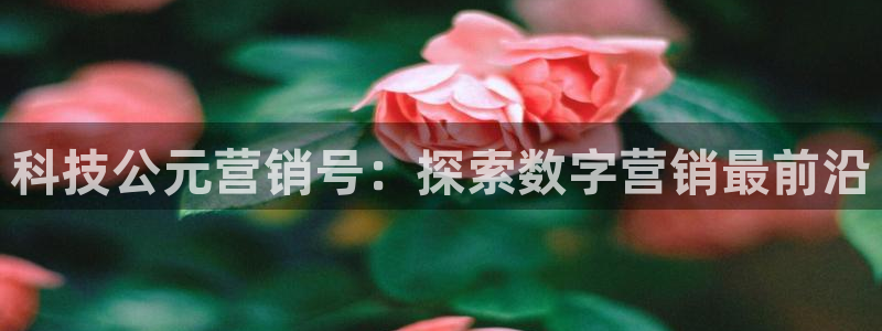 金年会官方平台是什么