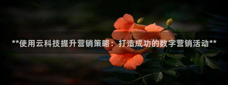 金年会体育app最新下载