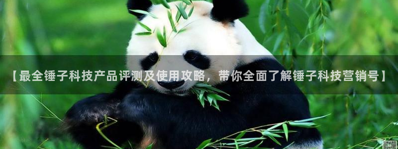 金年会网址导航在线播放