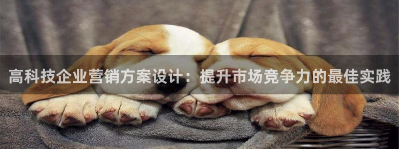 金年会app官网下载